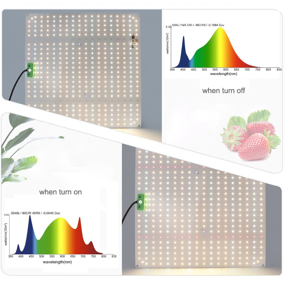 Quantum Board 150W LED Grow Light - Yxo Leds