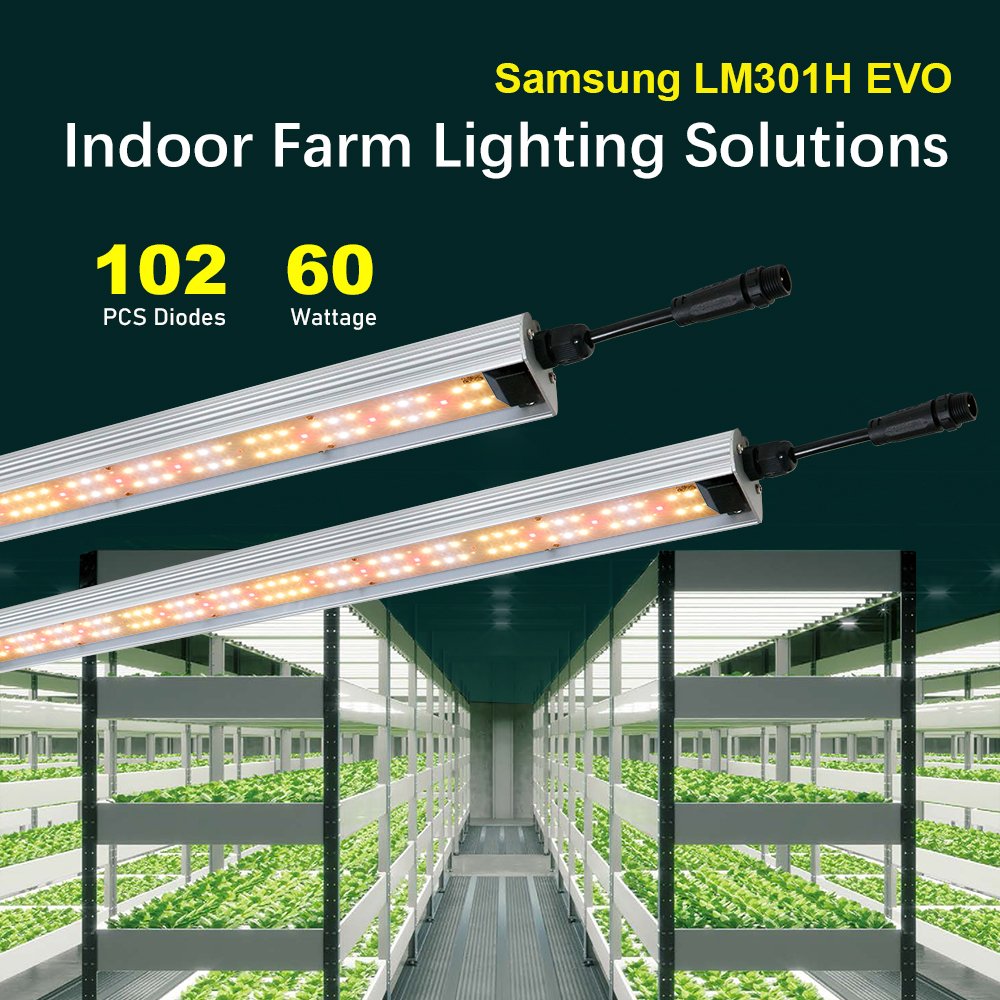 Hydroponics Sam-sung Lm301H EVO Quantum LED Grow Light - Yxo Leds
