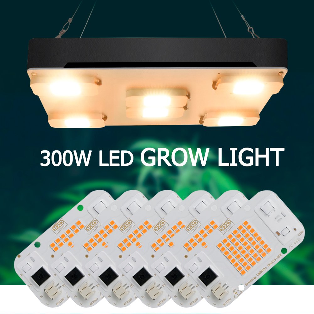 Samsung Quantum YXO LED Grow Light LM283B+ Full Spectrum Phyto Lamp For ...