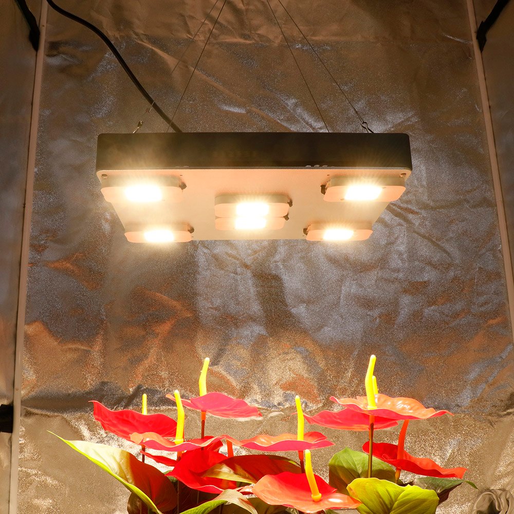 Samsung Quantum YXO LED Grow Light LM283B+ Full Spectrum Phyto Lamp For ...