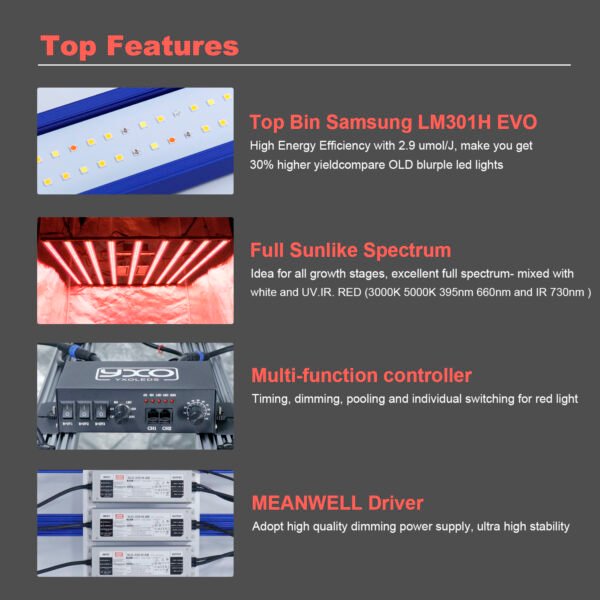 1000W Samsung Lm301h EVO Full Spectrum LED Grow Light High with ...
