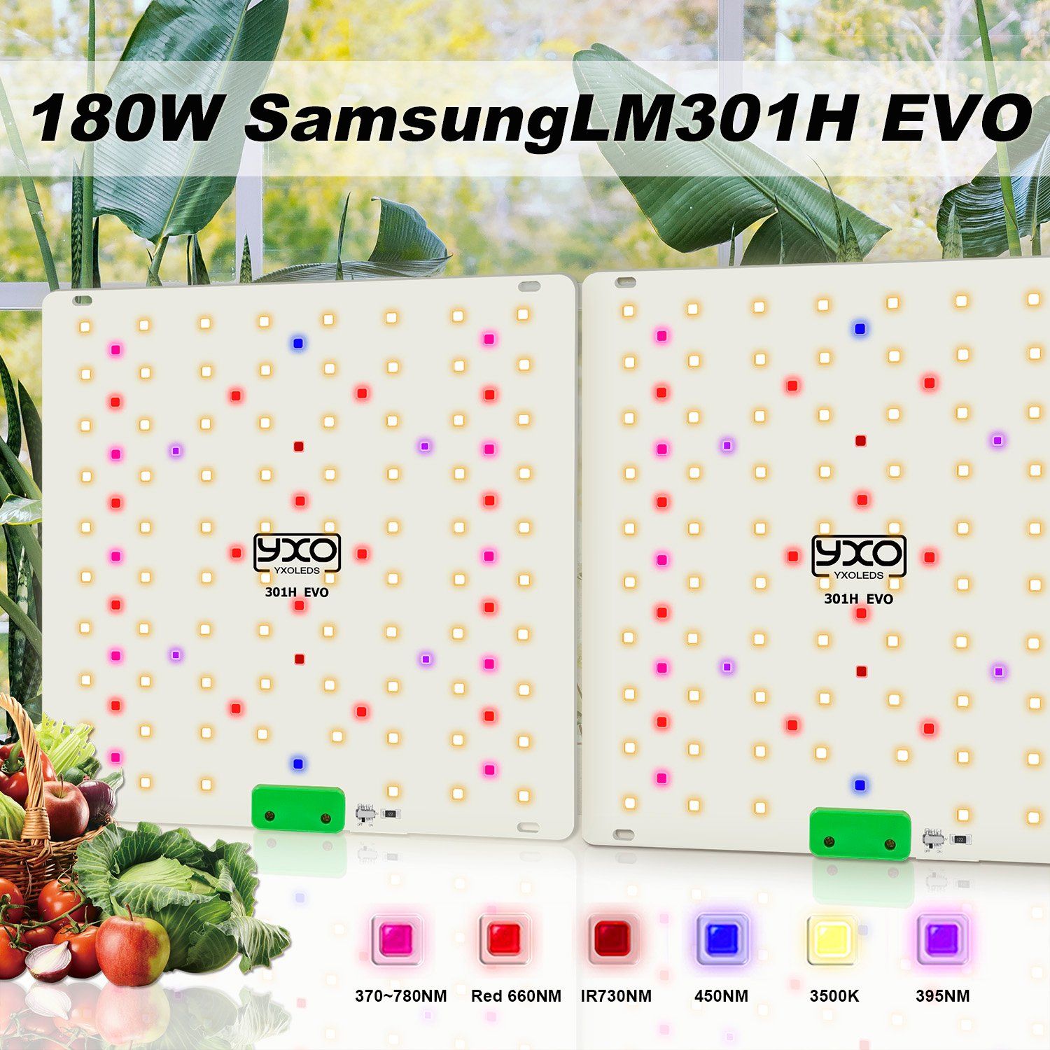 YXO 180W Full Spectrum LED Grow Light LM301H EVO - Yxo Leds