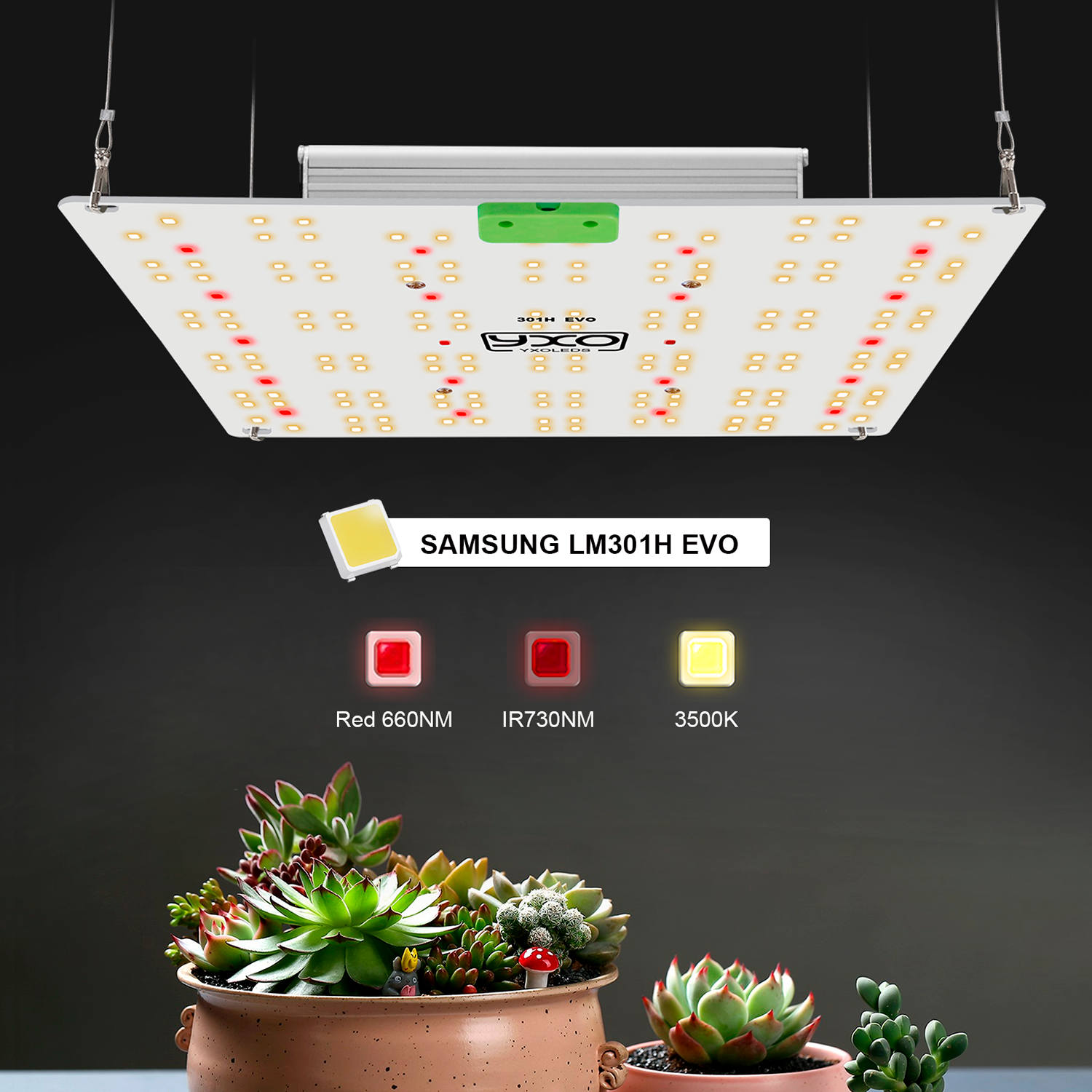 YXO 120W Full Spectrum LED Grow Light SAMSUNG LM301H EVO - Yxo Leds