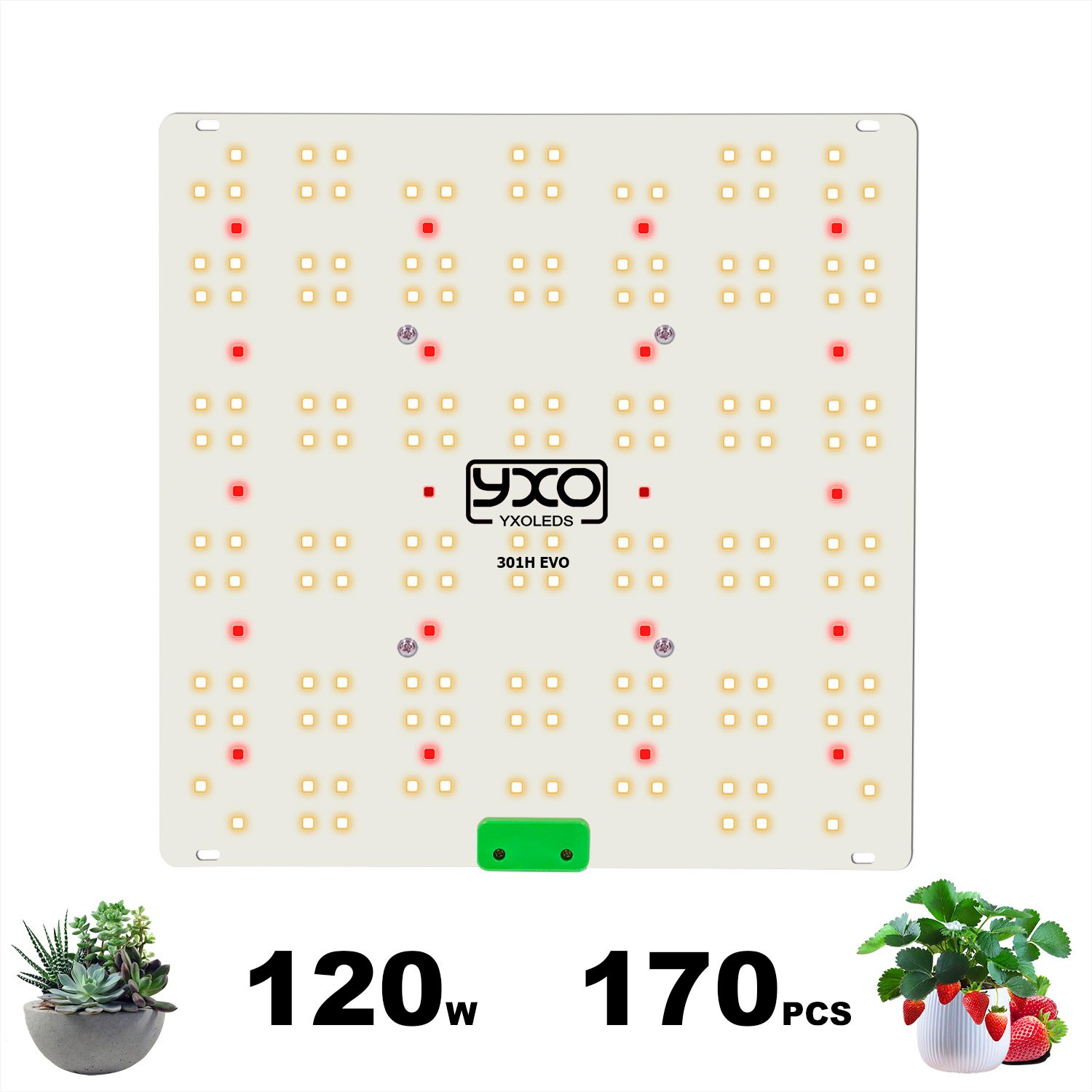 YXO 120W Full Spectrum LED Grow Light SAMSUNG LM301H EVO - Yxo Leds