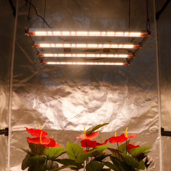240W Samsung Lm281B+Pro Full Spectrum LED Grow Light High - Yxo Leds