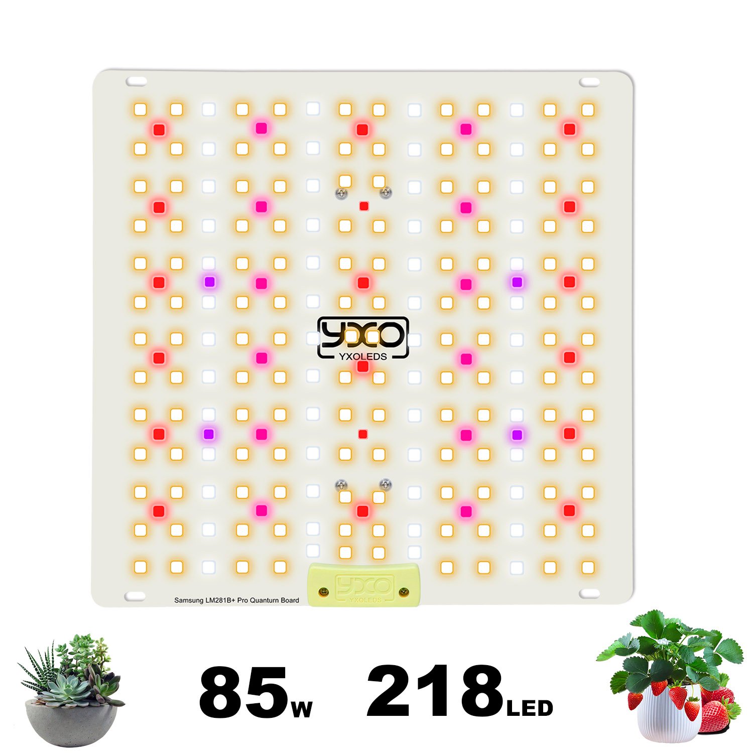 85w 281B+pro 主图